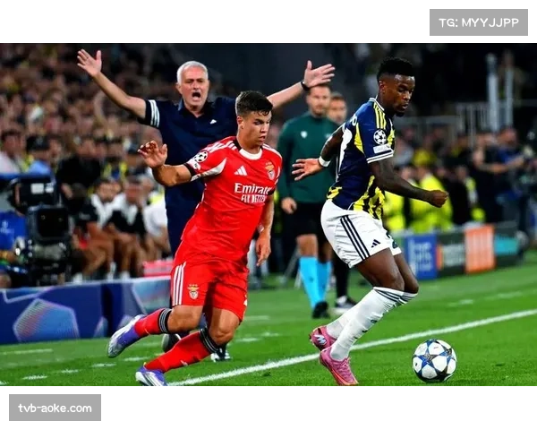 评论：德甲争四格局分析，斯图加特与法兰克福的欧冠资格之争进入白热化